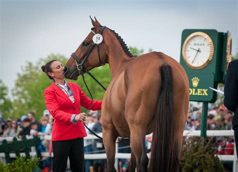 The Thoroughbreds of Rolex 2017, Presented by 